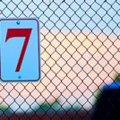 The number 7 attached to a wire fence